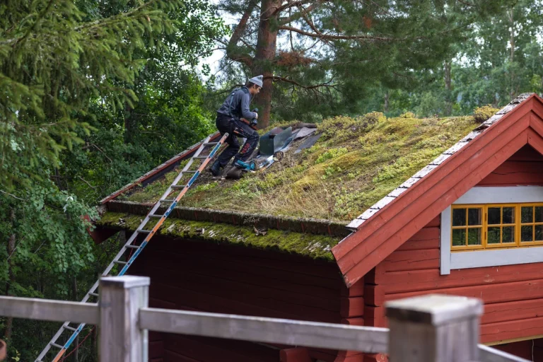 En person arbetar på ett grönt mosstak på en röd trästuga, omgiven av tät skog. Stege lutar mot taket.