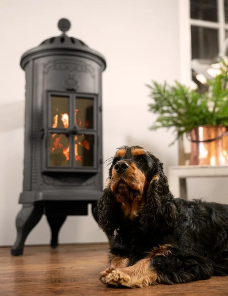En svart kamin med eld i bakgrunden och en liggande hund på ett trägolv, bredvid en kopparkruka med gröna växter.